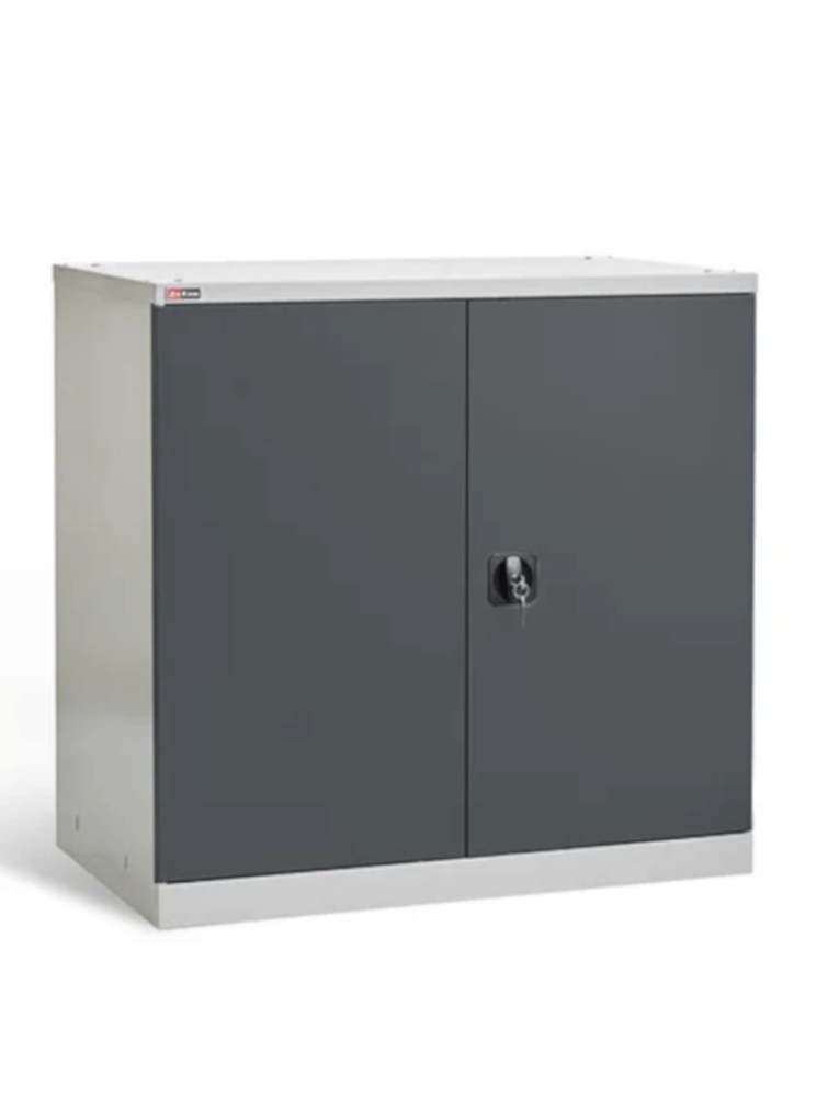 Шкаф инструментальный ДиКом ВЛ-051-02 купить в Ставрополе Шкаф инструментальный ДиКом ВЛ-051-02 купить в Ставрополе