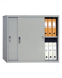 Шкаф Практик AMT 0891 Шкаф Практик AMT 0891